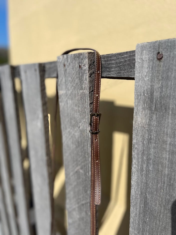 Close-up of a coffee brown leather strap and buckle against a beige wall.