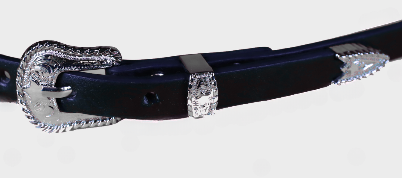 Black belt with silver buckle on a white background