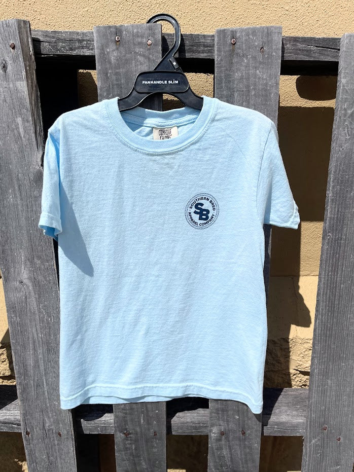 Light blue t-shirt with a logo on a wooden hanger against a wooden fence.